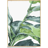 Malen nach Zahlen Pflanze